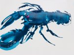 Turquoise blue crustacean